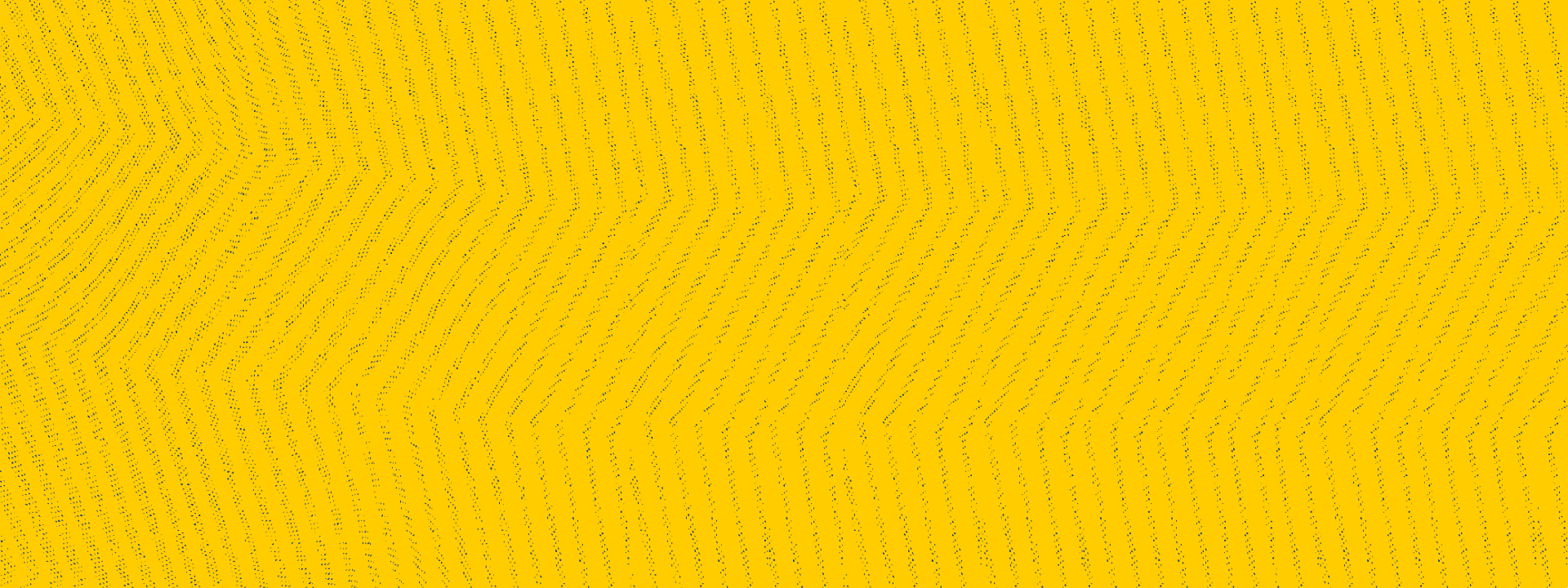 MKM Branch Directors cover image